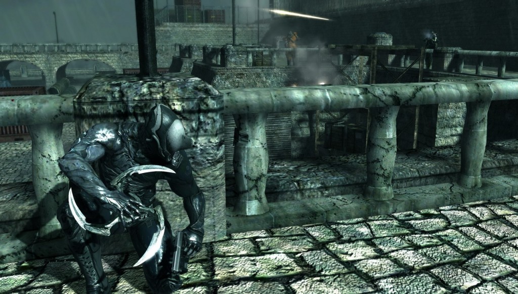 Dark Sector Review