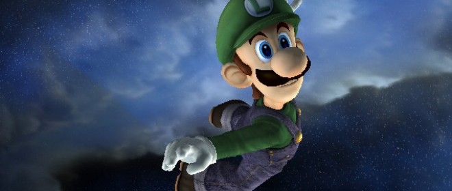 2013 The Year of Luigi