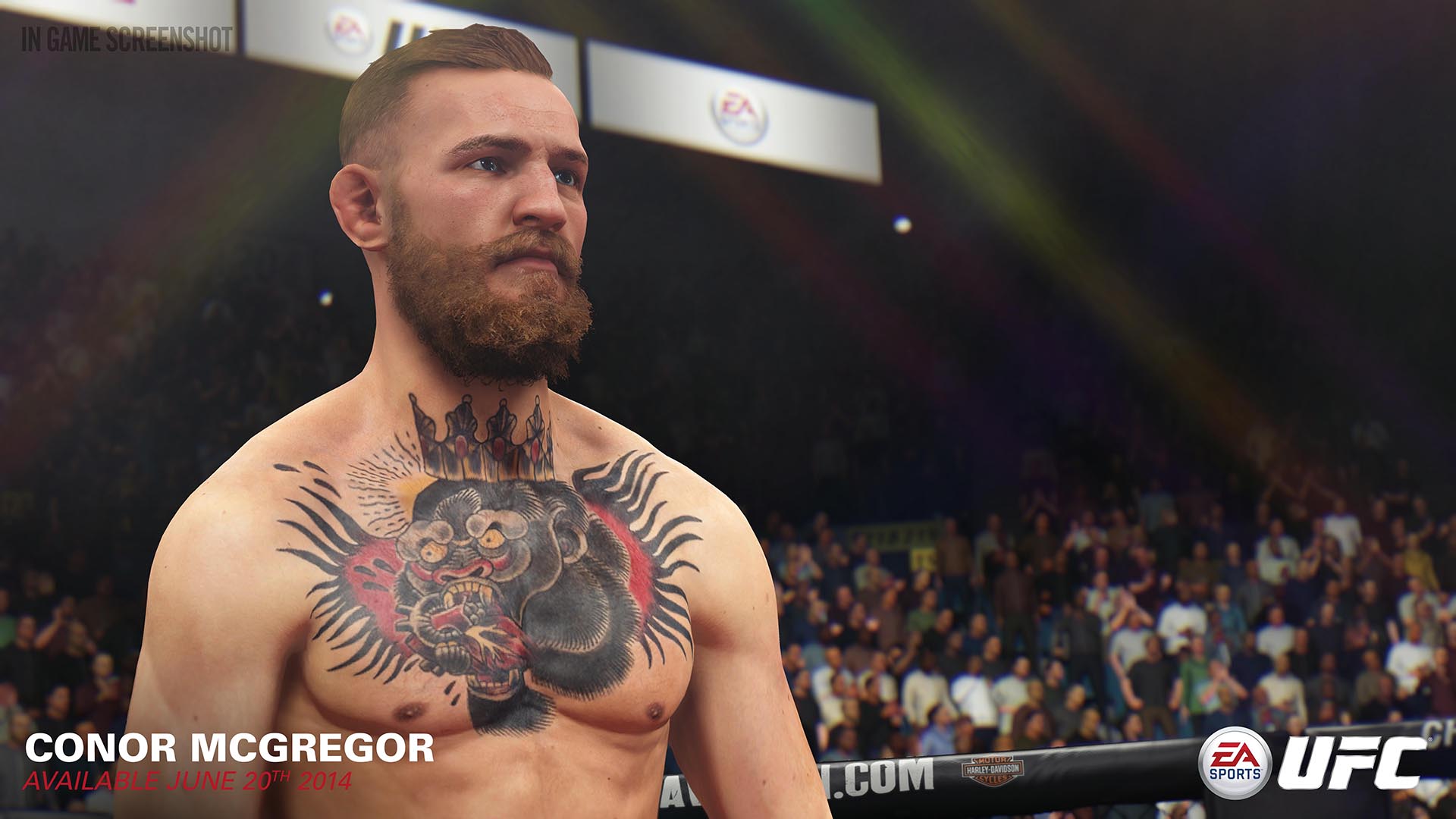 EA Sports Release UFC Demo - Einfo Games