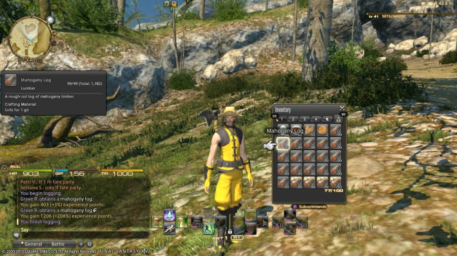 Final Fantasy XIV A Realm Reborn