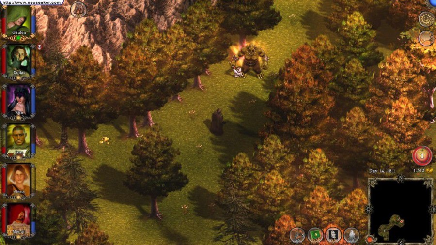 Well, it certainly looks like Might & Magic.