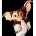 Profile picture of Thomas Imrie