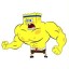 Profile picture of Sean Davis